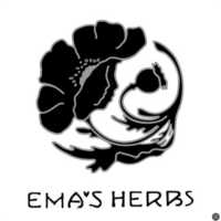 Screenshot 2026-04-19 at 12.31.57 PM